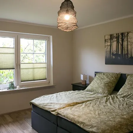 Mcdreyer * Dedelstorf