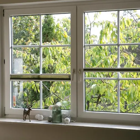 Appartement Mcdreyer Dedelstorf