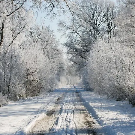 Appartement Mcdreyer