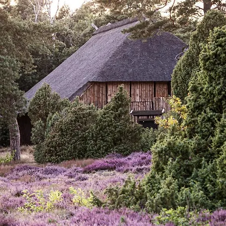 Mcdreyer Appartement Dedelstorf