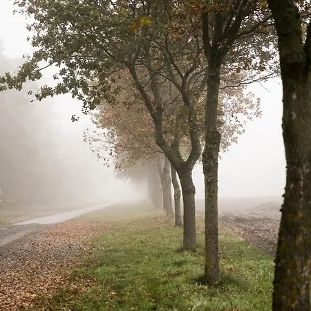 Mcdreyer * Dedelstorf