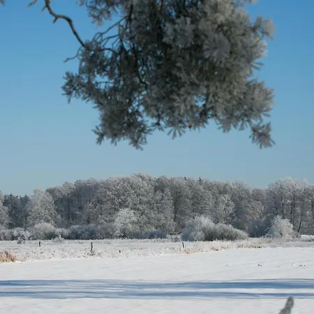 Mcdreyer Appartement Dedelstorf