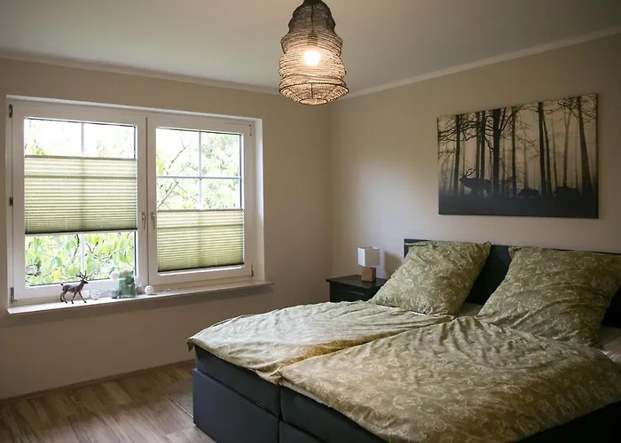 Mcdreyer * Dedelstorf