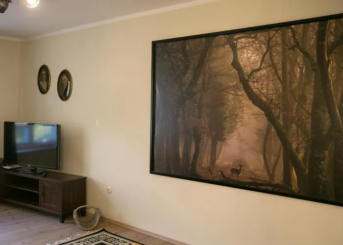 Mcdreyer شقة Dedelstorf