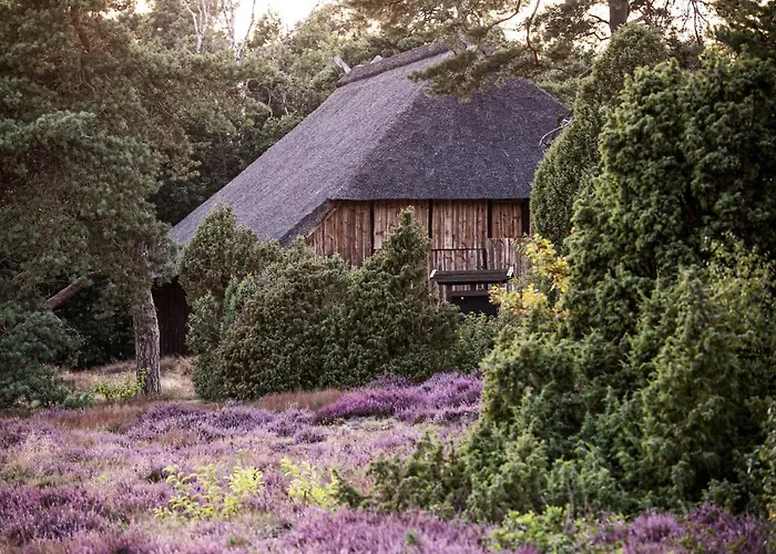 Mcdreyer شقة Dedelstorf