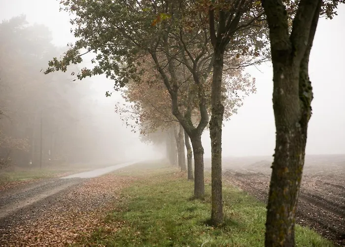 Mcdreyer * Dedelstorf