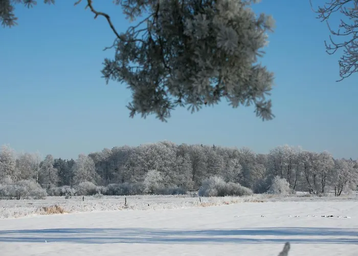 Mcdreyer شقة Dedelstorf